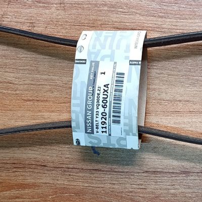 Nissan Y50 V-Belt